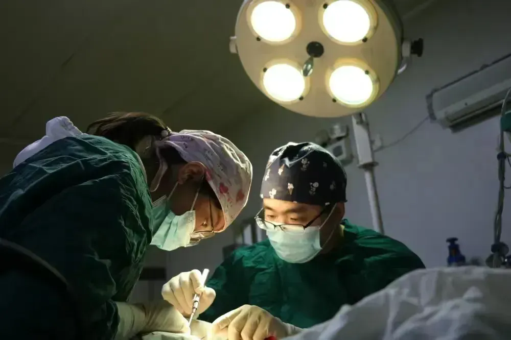 醫(yī)院簡介(圖7)